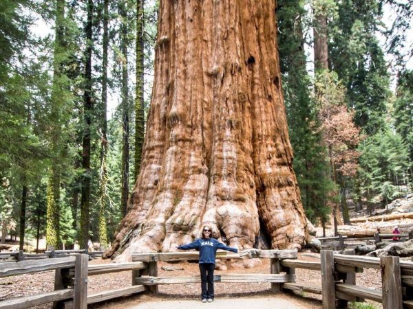 1200x768_general-sherman-sequoia-geant-sequoi-national-park-californie